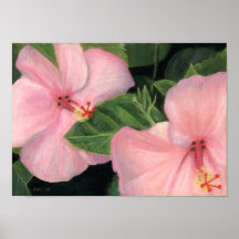 Hibisco Impresiones