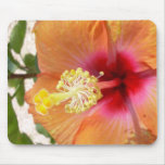 Hibisco Mousepad Tapetes De Ratones