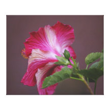 Hibisco rojo grabado en relieve, Mauvy Impresion De Lienzo