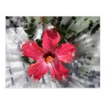 Hibisco rojo tarjeta postal
