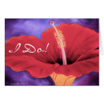 Hibisco rojo te amo que se casa… - modificado para felicitación