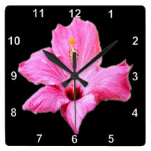 Hibisco rosado Wallclock