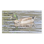 Híbrido del pato silvestre tarjetas de visita