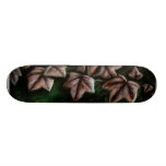 Hiedra de la roca patineta personalizada