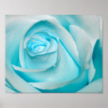 Hielo de la turquesa subió posters