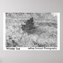 Hielo del invierno posters