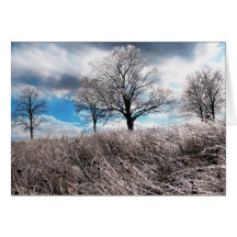 Hielo del invierno tarjeton