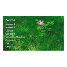 Hierba con la flor rosada plantillas de tarjetas personales
