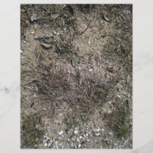 Hierba seca y cierre pedregoso de la tierra para a tarjetas informativas