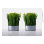 Hierba verde artificial tarjeta