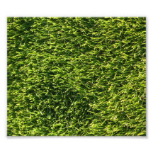 Hierba verde impresión fotográfica