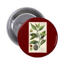 Hierbas especia, semillas de la comida del vintage pin