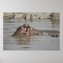 Hipopótamos en el poster de Tanzania