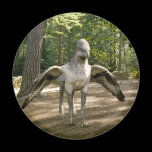 Hippogriff imanes