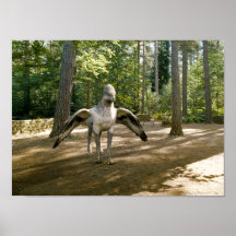 Hippogriff Impresiones