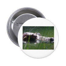 hippopotamus del hipopótamo pin