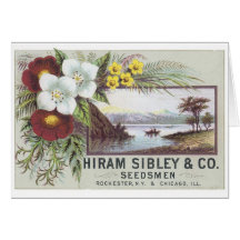 Hiram Sibley y Co Tarjeta