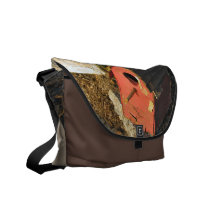 Hogar de la playa con la visión bolsas de mensajería