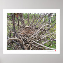 Hogar, hogar dulce poster