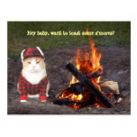 Hoguera del gatito tarjetas postales