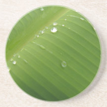 Hoja 2 del plátano de Dewey Posavasos Para Bebidas