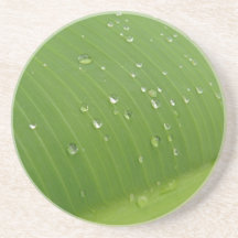 Hoja 3 del plátano de Dewey Posavasos Para Bebidas