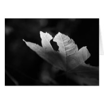 Hoja blanco y negro tarjetón