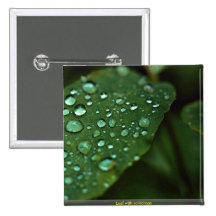 Hoja con las gotas de agua pins