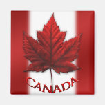 Hoja de arce de Canadá del imán del refrigerador d