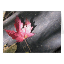 Hoja de arce tarjetas