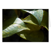 Hoja de la flora del verano felicitacion 