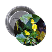 Hoja de las hojas de las flores pin