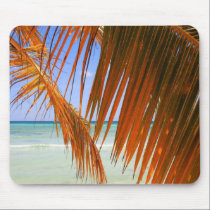 Hoja de palma del Caribe alfombrillas de raton 
