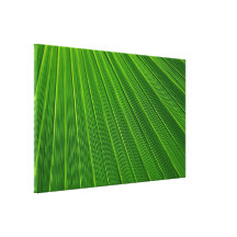 Hoja de palma lienzo envuelto para galerias