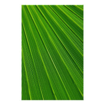 Hoja de palma papeleria personalizada