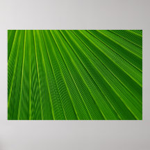 Hoja de palma poster