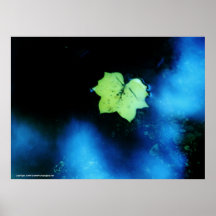 Hoja del álamo del charco posters