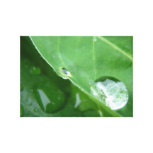 Hoja del descenso del agua impresión en lona