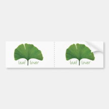 Hoja del Gingko Pegatina De Parachoque