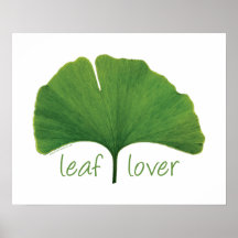 Hoja del Gingko Posters