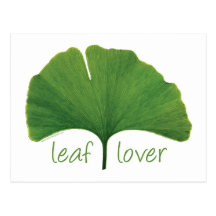 Hoja del Gingko Tarjetas Postales