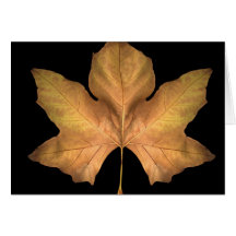 Hoja del otoño tarjeta