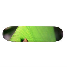 Hoja del plátano patineta personalizada