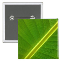 Hoja del plátano pins