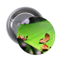 Hoja del plátano pins