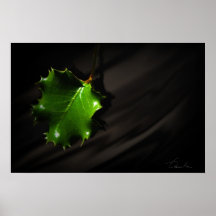 hoja grean posters