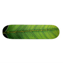 hoja monopatín personalizado