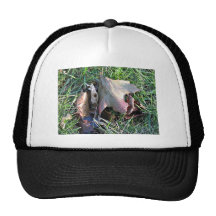 Hoja muerta vieja en hierba gorras