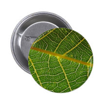Hoja Pin