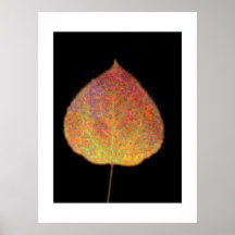Hoja Posters